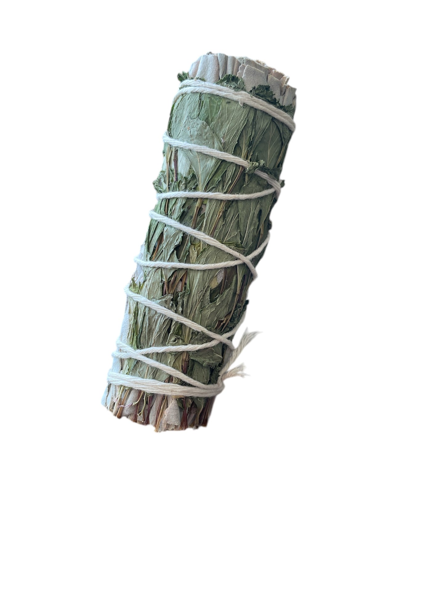 Mint white sage smudge stick